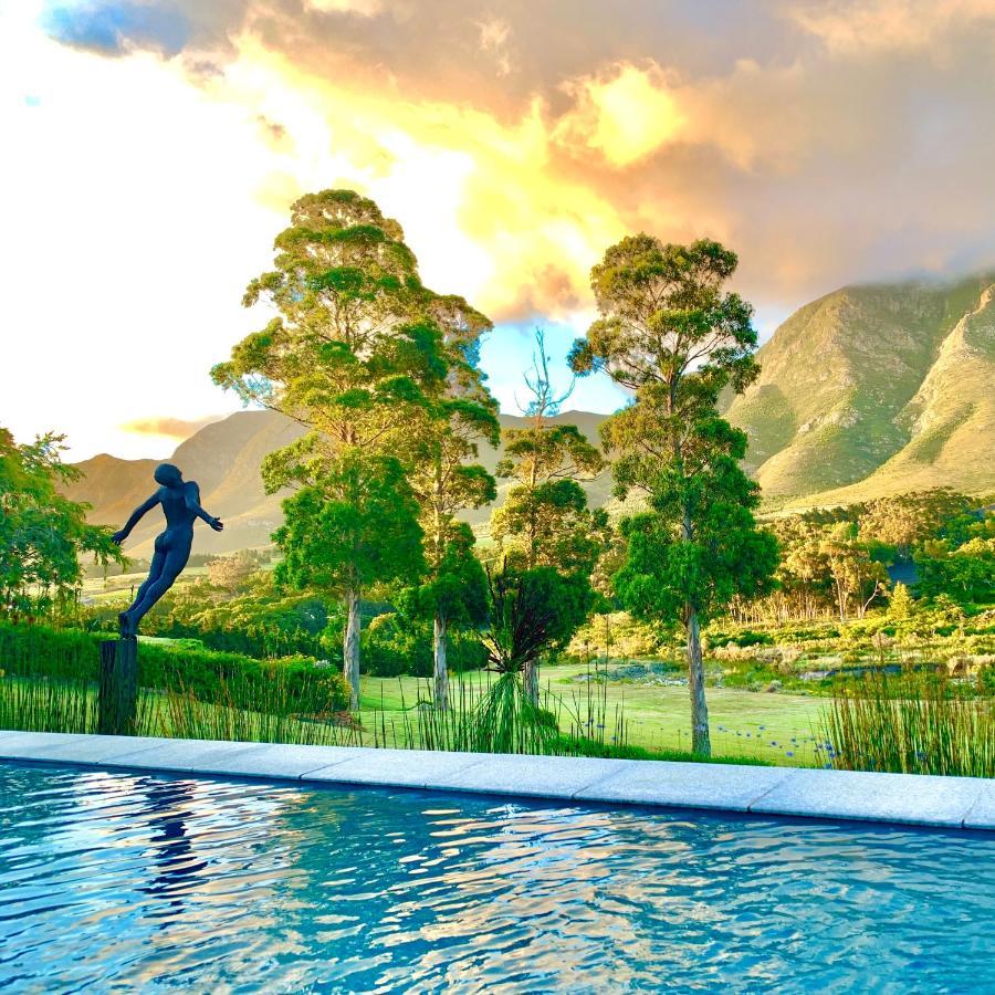 The Guardian Hermanus Luxury Self-Catering Hemel En Aarde Valley Apartment Ngoại thất bức ảnh